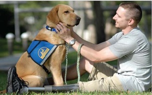 Guide Dog